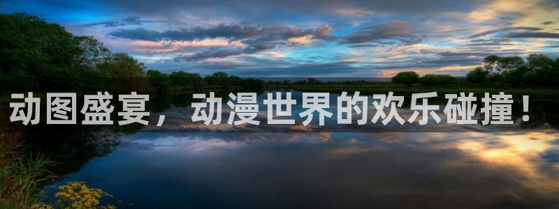 囧次元旧版下载