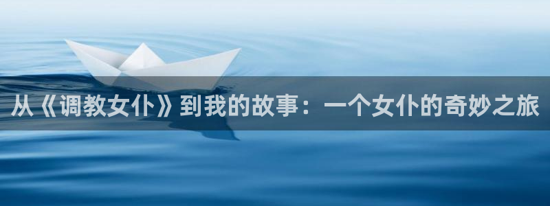 囧次元更新：从《调教女仆》到我的故事：一个女仆的奇妙之旅