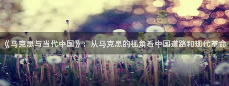 囧次元动漫app正版下载：《马克思与当代中国》：从马克思的视角看中国道路和现代革命