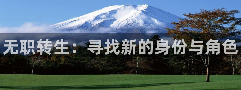 囧 次元：无职转生：寻找新的身份与角色