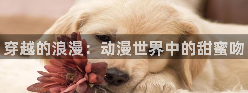 囧次元官网下载